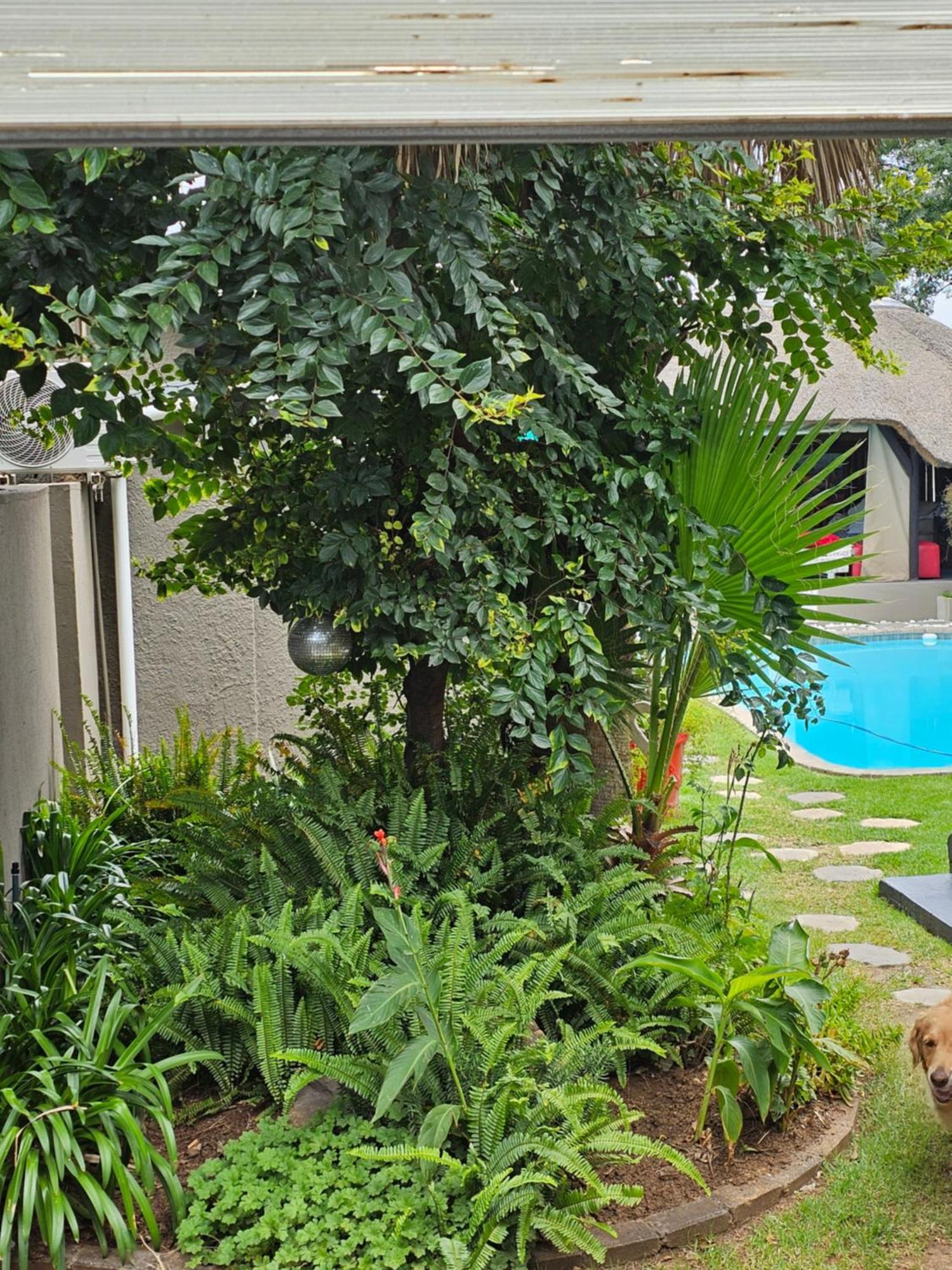 The Armagh Guesthouse Boksburg Exterior photo